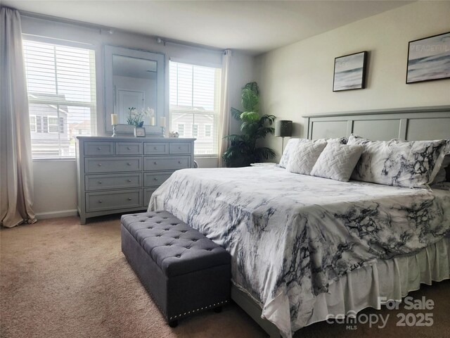 1047 Campbell Chase Ln SW, Concord, NC 28025 - carpeted bedroom with multiple windows