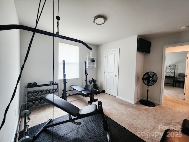 1047 Campbell Chase Ln SW, Concord, NC 28025 - exercise room with carpet and baseboards
