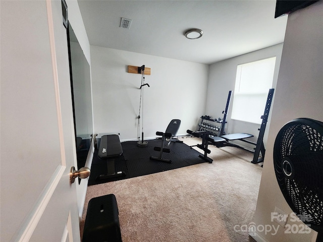 1047 Campbell Chase Ln SW, Concord, NC 28025 - exercise room featuring carpet flooring