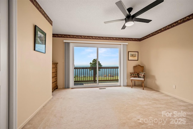 2881 White Oak Mountain Rd Unit D5, Columbus, NC 28722 - spare room with carpet floors and ceiling fan