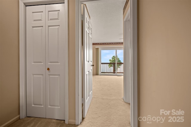 2881 White Oak Mountain Rd Unit D5, Columbus, NC 28722 - hallway with light colored carpet and baseboards
