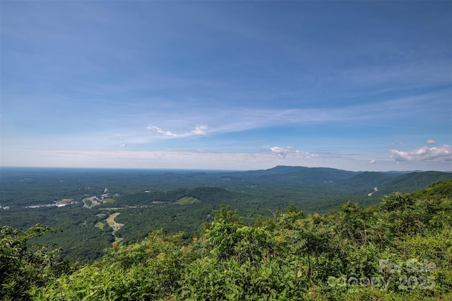 2881 White Oak Mountain Rd Unit D5, Columbus, NC 28722 - view of mountain backdrop with a forest