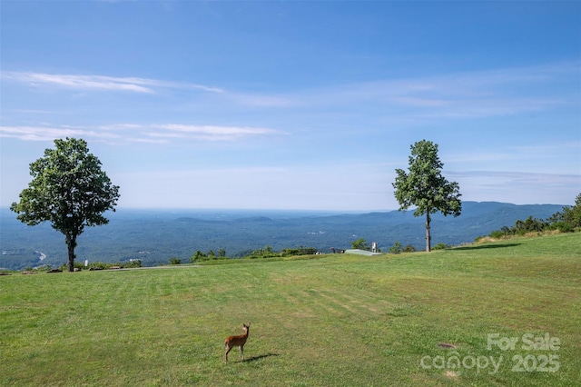 2881 White Oak Mountain Rd Unit D5, Columbus, NC 28722 - water view with rural landscape and a mountainous background