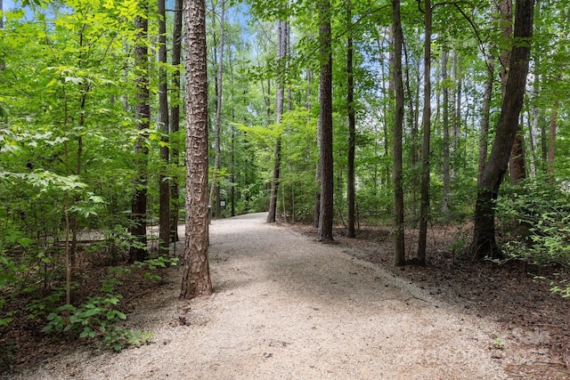 763 Old Meeting Way, Davidson, NC 28036 - photo 30