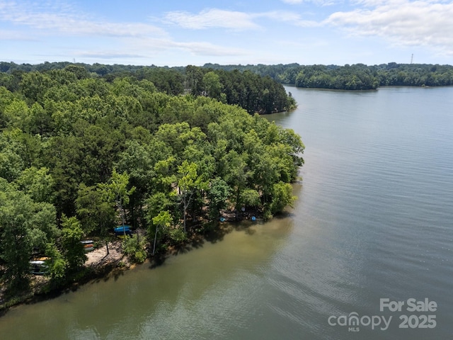 763 Old Meeting Way, Davidson, NC 28036 - photo 36