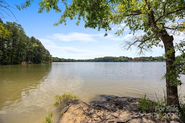 763 Old Meeting Way, Davidson, NC 28036 - photo 37