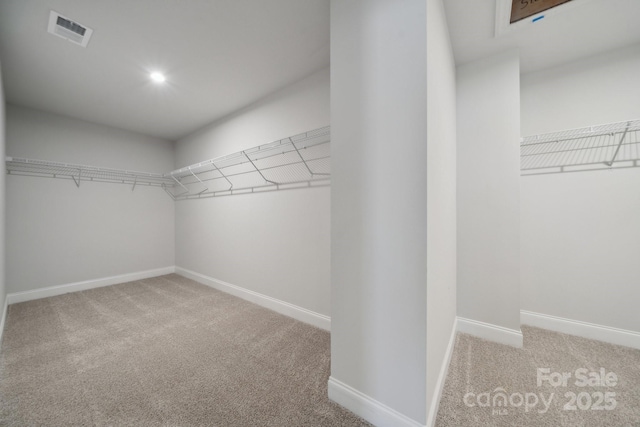 308 Alameda Way, Matthews, NC 28104 - walk in closet featuring carpet floors