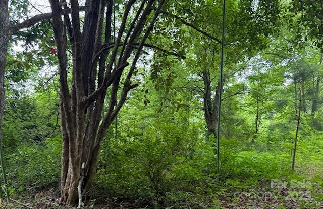 69 Ginger Snap Dr, Nebo, NC 28761 - view of tree filled area