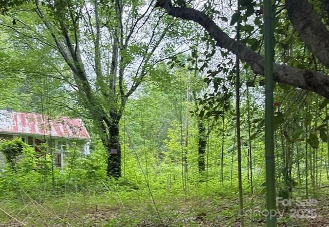 69 Ginger Snap Dr, Nebo, NC 28761 - view of wooded area