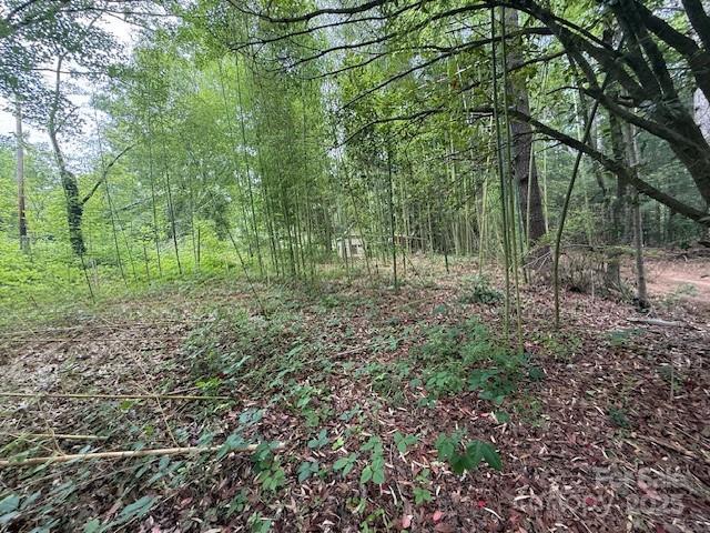 69 Ginger Snap Dr, Nebo, NC 28761 - view of woods