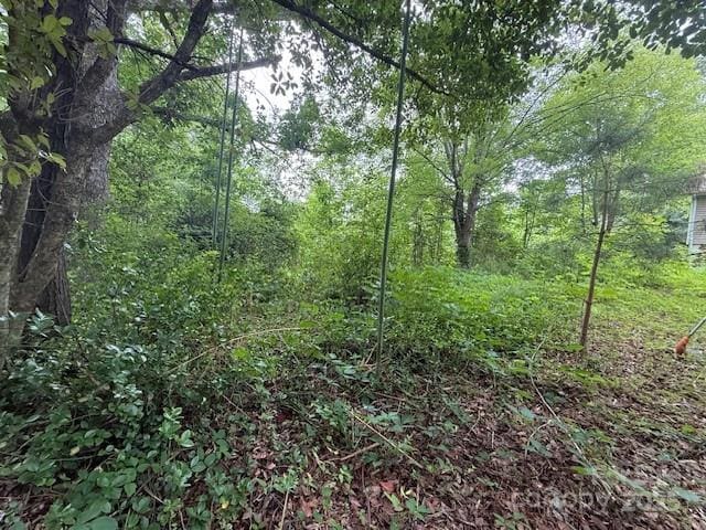 69 Ginger Snap Dr, Nebo, NC 28761 - view of woods