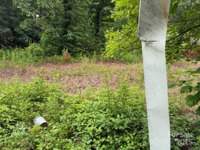 69 Ginger Snap Dr, Nebo, NC 28761 - view of nature