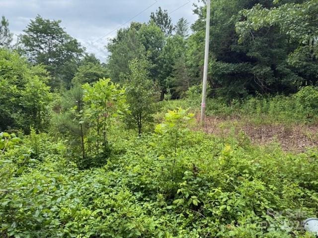 69 Ginger Snap Dr, Nebo, NC 28761 - view of wooded area