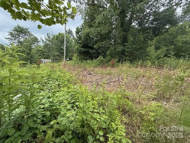69 Ginger Snap Dr, Nebo, NC 28761 - view of local wilderness