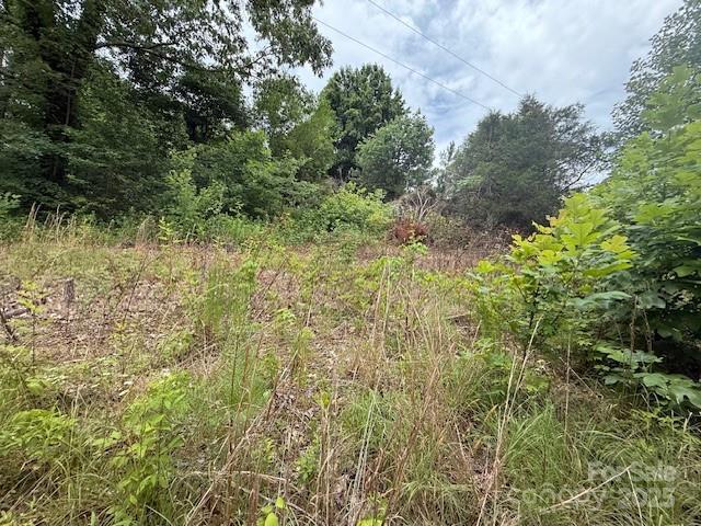 69 Ginger Snap Dr, Nebo, NC 28761 - view of local wilderness