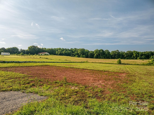 1 Maiden Salem Rd, Lincolnton, NC 28650 - photo 4