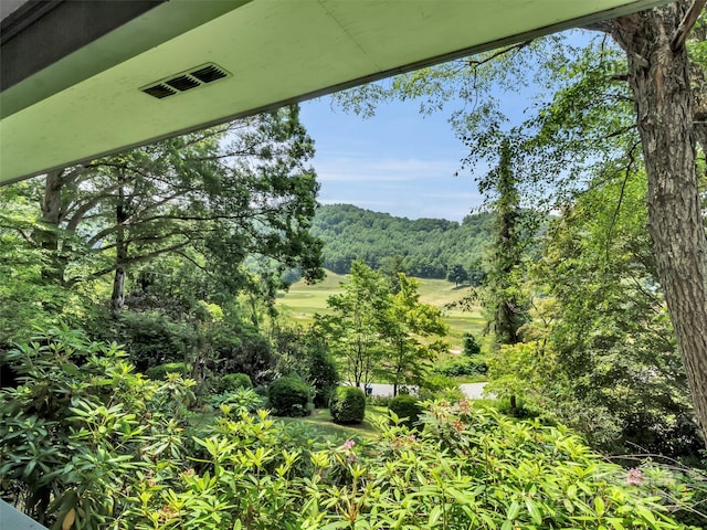 34 Brunswick Rd, Waynesville, NC 28786 - photo 2
