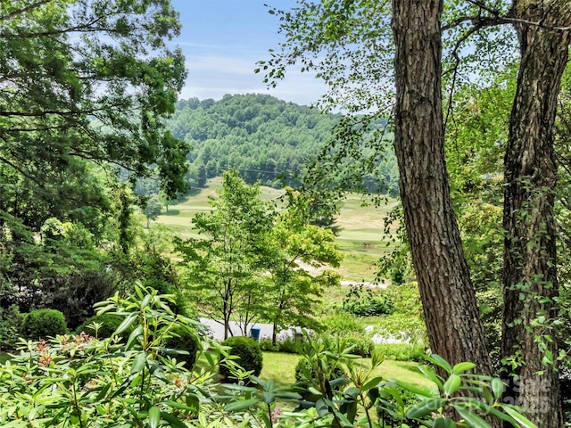 34 Brunswick Rd, Waynesville, NC 28786 - photo 3