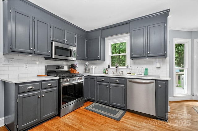 8300 Quarters Ln, Mint Hill, NC 28227 - kitchen featuring appliances with stainless steel finishes, light wood-type flooring, light countertops, and ornamental molding