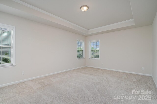 8420 Golden Stone Ln Unit 138, Fort Mill, SC 29707 - spare room featuring crown molding, carpet flooring, and a raised ceiling