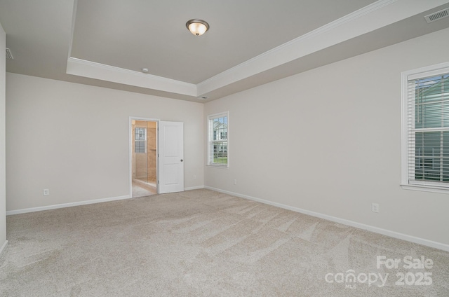 8420 Golden Stone Ln Unit 138, Fort Mill, SC 29707 - spare room with a tray ceiling, carpet flooring, and crown molding