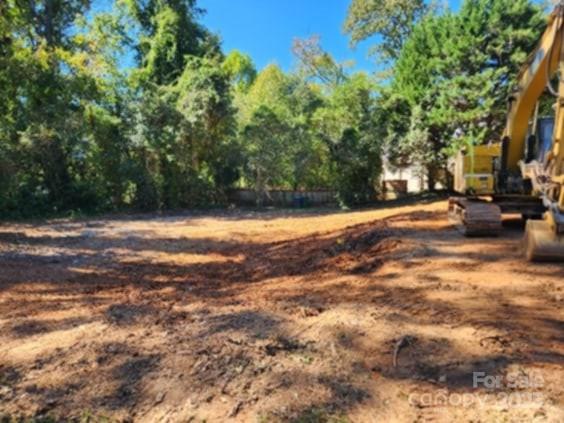 1324 Carolyn Dr, Charlotte, NC 28205 - photo 1