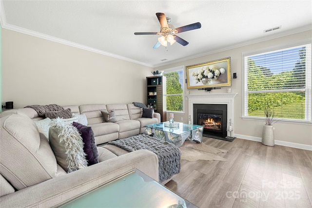 1152 Mckee Farm Ln, Belmont, NC 28012 - living area featuring wood finished floors, crown molding, ceiling fan, and a glass covered fireplace