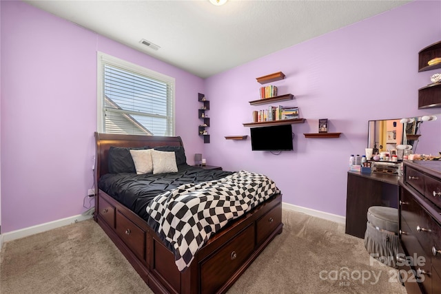 1152 Mckee Farm Ln, Belmont, NC 28012 - bedroom featuring carpet flooring