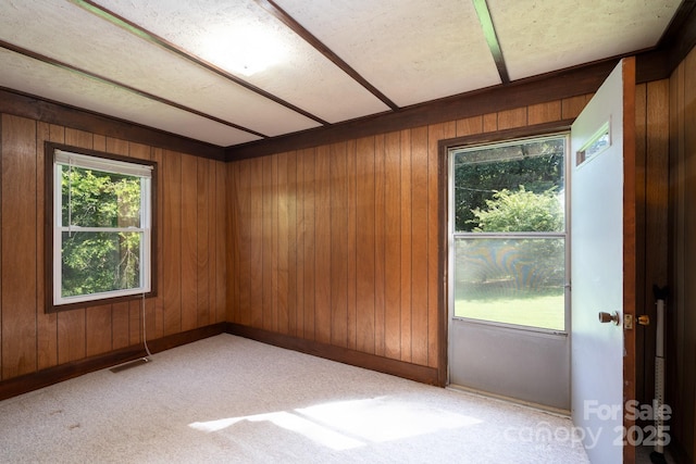 4022 Price Short Cut Rd, Monroe, NC 28110 - unfurnished room with wooden walls and light carpet