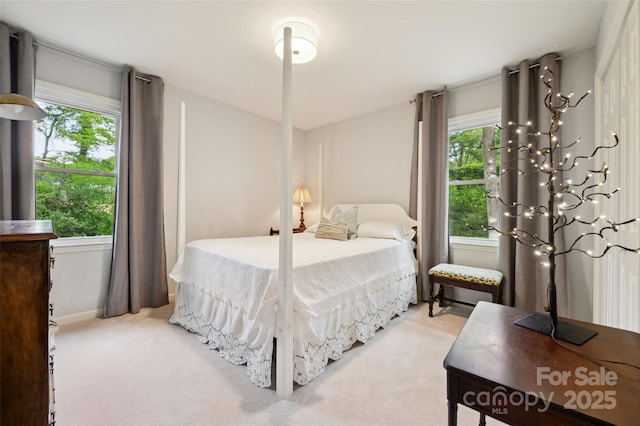 1040 Goshen Pl, Charlotte, NC 28211 - bedroom with multiple windows and light carpet