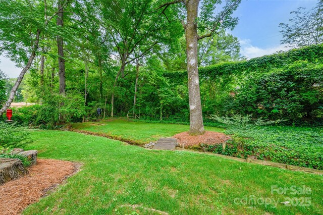 1040 Goshen Pl, Charlotte, NC 28211 - view of green lawn