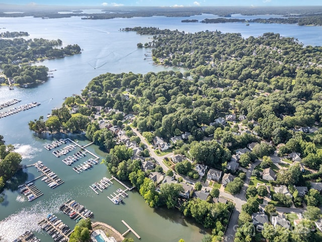 19509 Trintella Ln, Cornelius, NC 28031 - aerial view of numerous boat docks and a nearby body of water