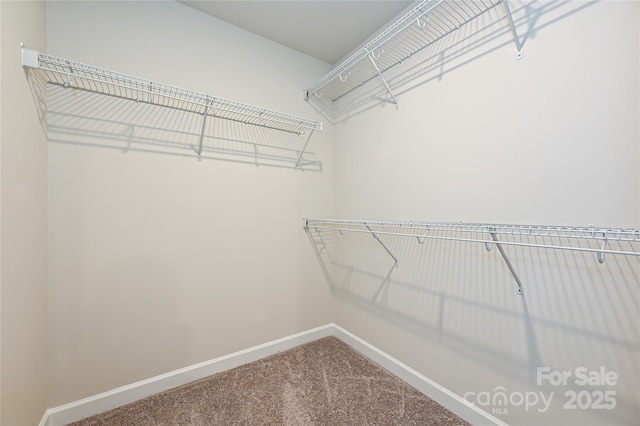 117 Canoga Ave, York, SC 29745 - spacious closet with carpet