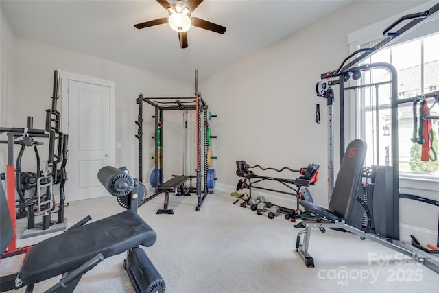 264 Auburn View Rd, Rock Hill, SC 29730 - photo 13