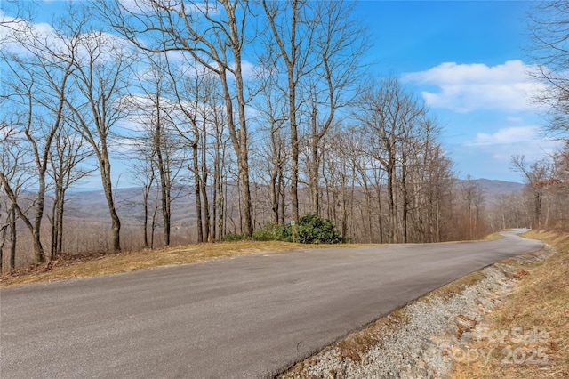 154 High Cliffs Trl Lot 12A, Black Mountain, NC 28711