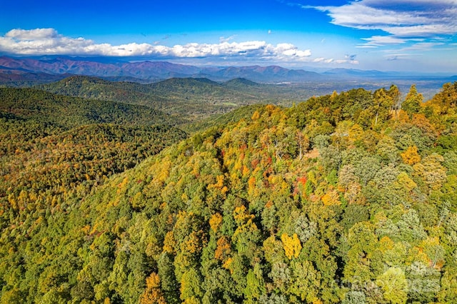154 High Cliffs Trl Lot 12A, Black Mountain, NC 28711