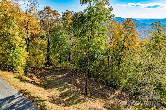 154 High Cliffs Trl Lot 12A, Black Mountain, NC 28711