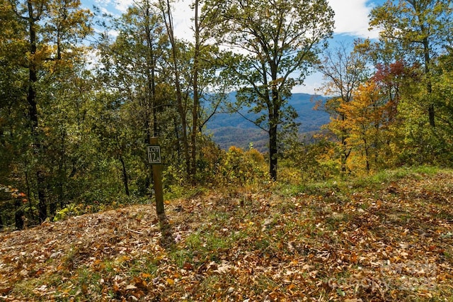 154 High Cliffs Trl Lot 12A, Black Mountain, NC 28711