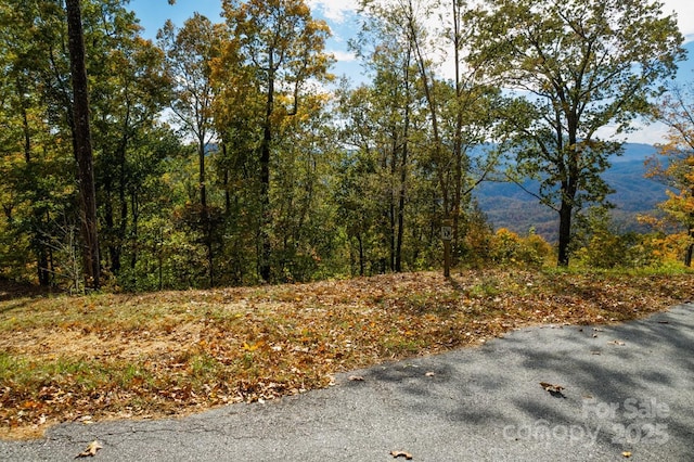 154 High Cliffs Trl Lot 12A, Black Mountain, NC 28711