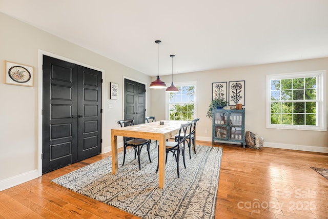 90 Reed Rd, Asheville, NC 28805 - dining space with healthy amount of natural light and light wood-type flooring