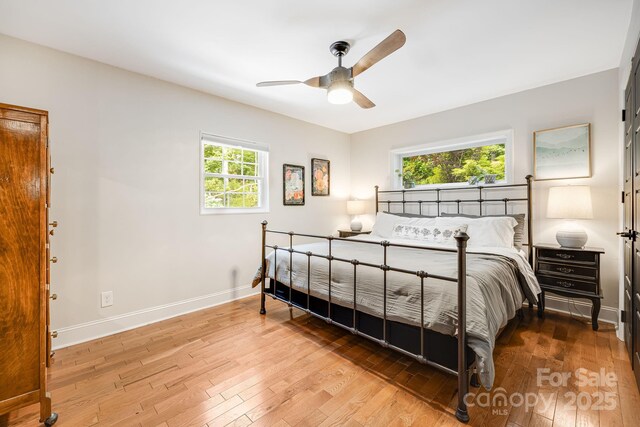 90 Reed Rd, Asheville, NC 28805 - bedroom with wood-type flooring and ceiling fan