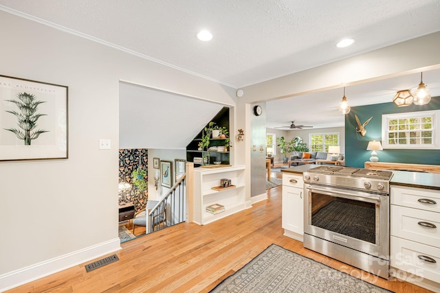 90 Reed Rd, Asheville, NC 28805 - kitchen with high end stainless steel range oven, white cabinets, light wood-type flooring, crown molding, and open floor plan