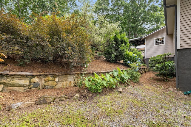 90 Reed Rd, Asheville, NC 28805 - view of yard