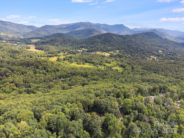90 Reed Rd, Asheville, NC 28805 - mountain view featuring a forest