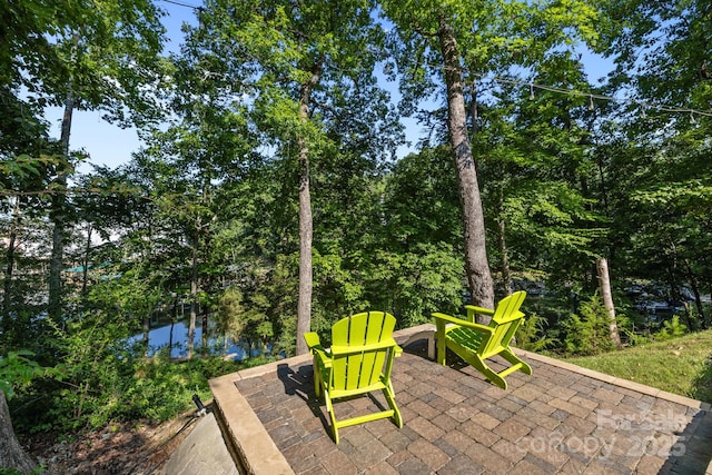 13934 Kings Carriage Ln, Charlotte, NC 28278 - view of patio / terrace