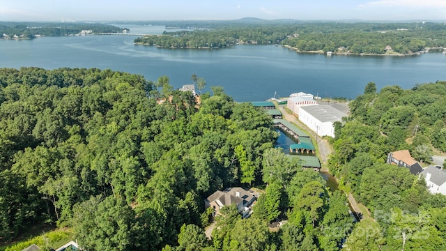 13934 Kings Carriage Ln, Charlotte, NC 28278 - view of property location with a large body of water
