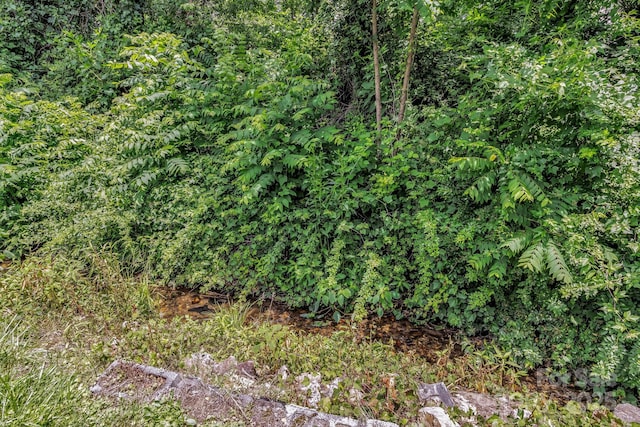 102 Edgewood Rd S, Asheville, NC 28803 - photo 21