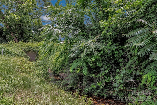 102 Edgewood Rd S, Asheville, NC 28803 - photo 22