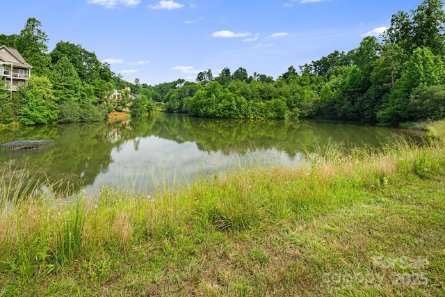609 Carriage Commons Dr, Hendersonville, NC 28791 - water view featuring a forest