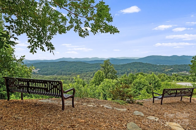 609 Carriage Commons Dr, Hendersonville, NC 28791 - view of mountain background with a forest